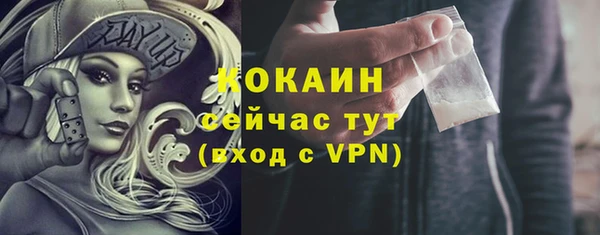 скорость Богородицк